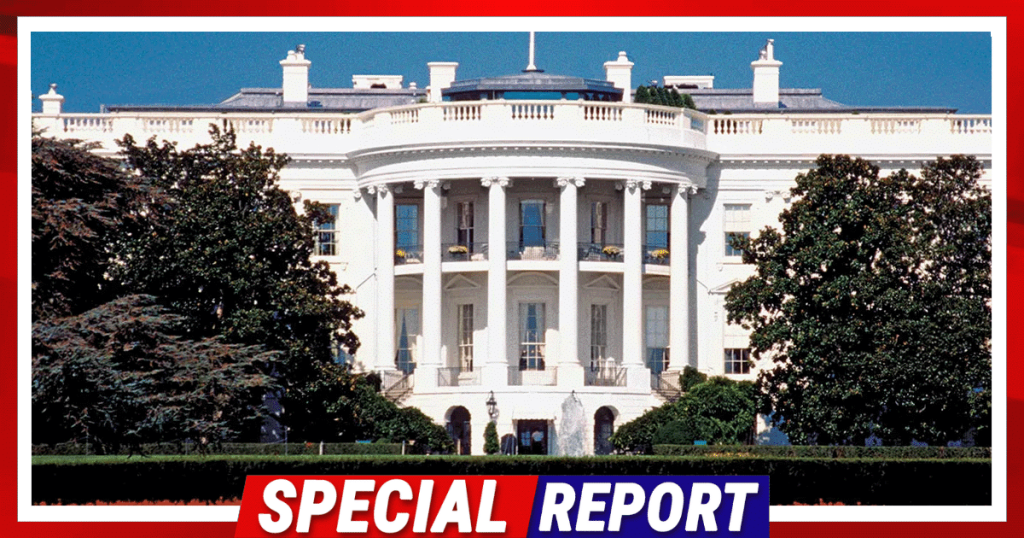2024 Race Just Got a Hilarious New Candidate