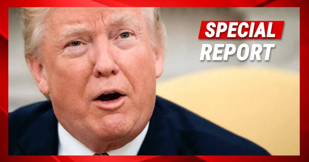 Trump Gets Huge Boost from Law Expert