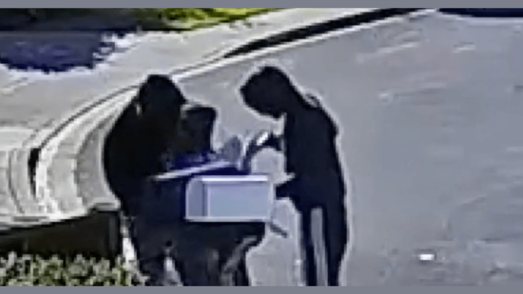 Postal Worker Robbed At Gunpoint in California in Broad Daylight (Video)