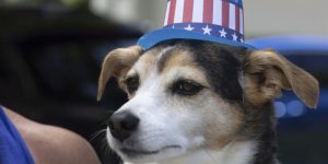 Wisconsin Town Preserves the Legacy of Flag Day, the Oft-Forgotten U.S. Holiday