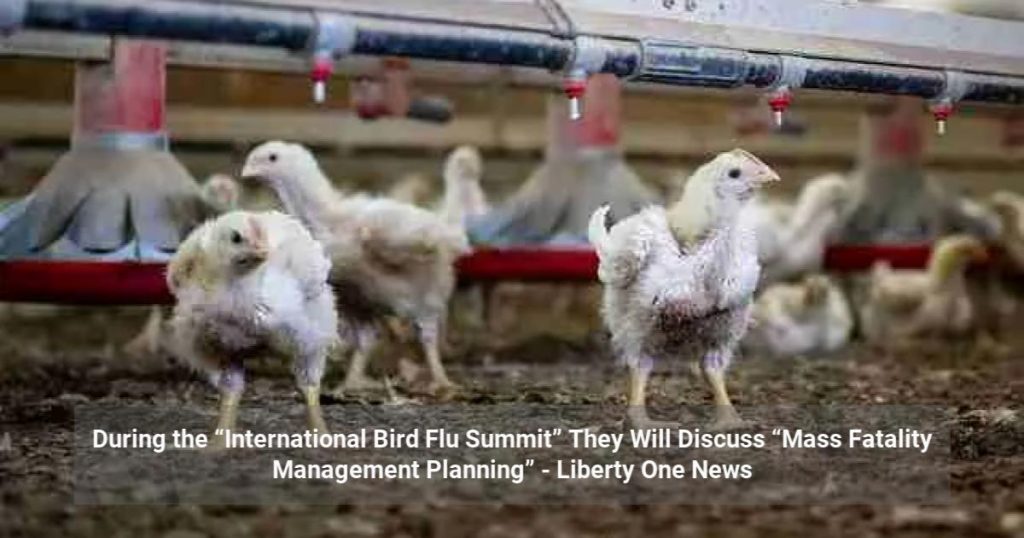 During the “International Bird Flu Summit” They Will Discuss “Mass Fatality Management Planning”