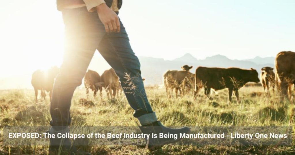 EXPOSED: The Collapse of the Beef Industry Is Being Manufactured