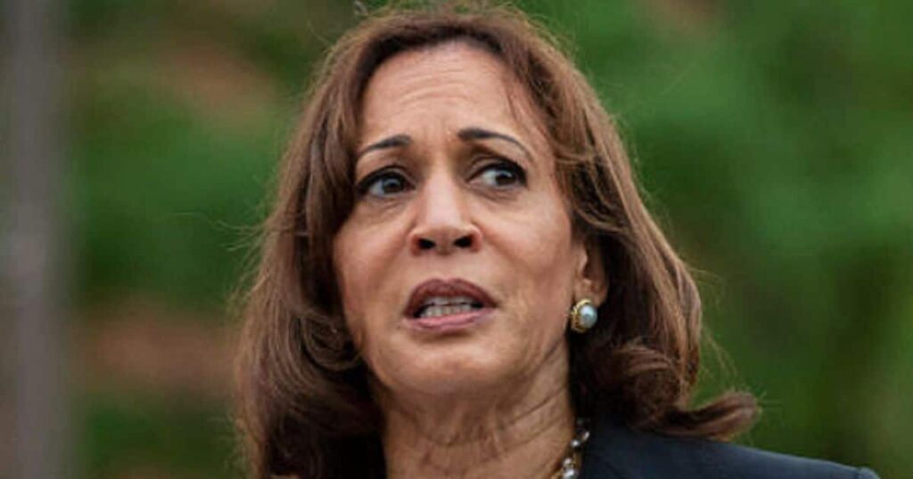 Port Workers Strike Threatens to Leave Shelves Empty – And Kamala Is to Blame